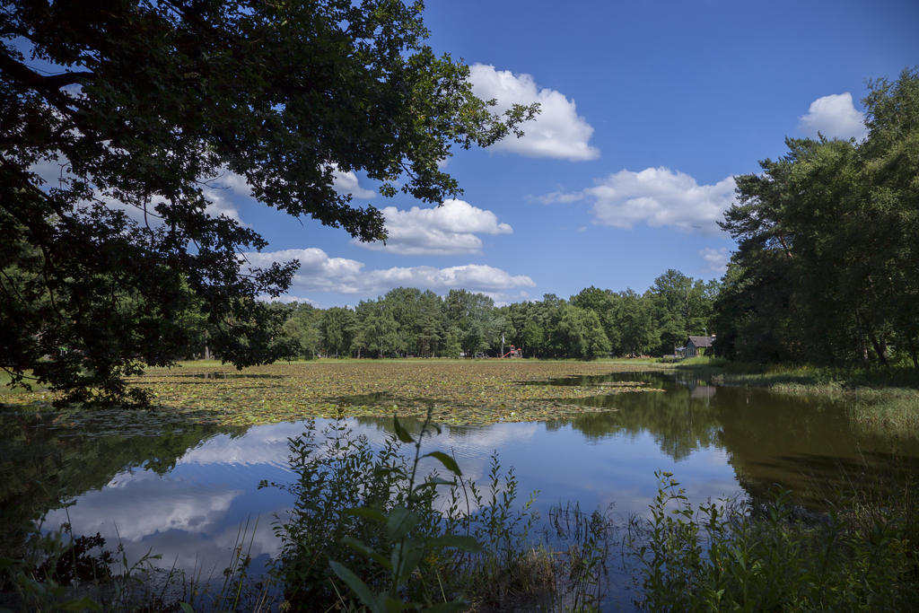 'T Vosseven Vakantiehuizen Stramproy ภายนอก รูปภาพ
