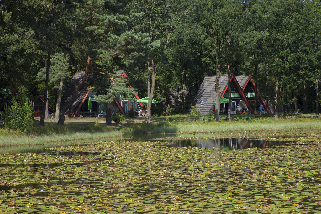 'T Vosseven Vakantiehuizen Stramproy ห้อง รูปภาพ